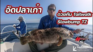อัดปลาเก๋า ด้วยคัน Tailwalk Slow Bump TZ 633 Grouper Jigging