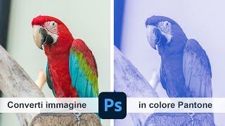 Converti immagine in colore Pantone - Adobe Photoshop