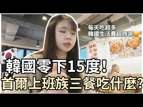 🇰🇷韓國生活｜韓國上班族VLOG｜首爾零下15度!!韓國上班族三餐吃什麼😛每天吃超多!生活費超誇張😂韓國必吃｜台灣人在韓國｜紹紹 Soy Daily