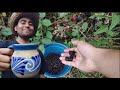 ACOMPÁÑAME A CORTAR ZARZAMORA Y A PREPARAR UNA RICA AGUA. Vivir en el campo.