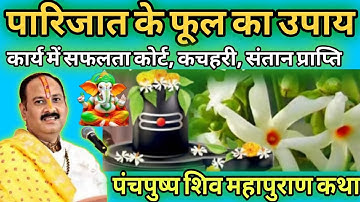 #पंचपुष्प शिव महापुराण कथा#पारिजात के फूल का अचुक उपाय संतान🫄प्राप्ति के लिए#pandit Pardeep mishra