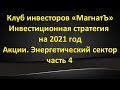 Акции энергетического сектора. Инвестиционная стратегия клуба инвесторов "МагнатЪ" на 2021 год - ч.4