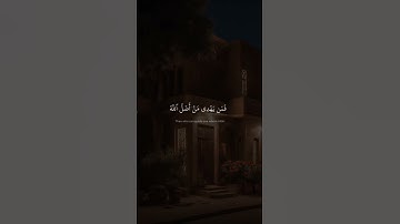 فَمَن يَهۡدِي مَنۡ أَضَلَّ ٱللَّهُۖ وَمَا لَهُم مِّن نَّٰصِرِينَ | محمد صديق المنشاوي | سورة الروم