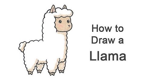How to Draw a Llama (Cartoon)
