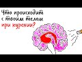 Что происходит с ТВОИМ ТЕЛОМ при курении Научпок