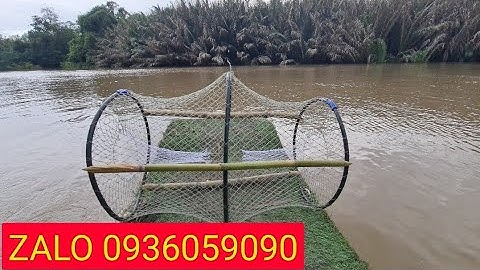 Lờ bẫy cá lóc, Bẫy cá lóc, Lờ cá cải tiến, lợp cá lóc, lợp bẫy cá cải tiến.