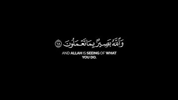 إن الله يعلم شاشة سوداء | كرومات قرآن كريم | ماهر المعيقلي شاشة سوداء حالات واتس