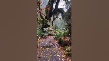 Quran Kareem story 🌸WhatsApp《 سوره النمل 》  أجمل قرائه قرآن كريم حالات واتس 🍃