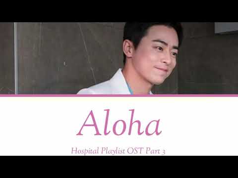 cho-jung-seok-(-조정석)---aloha-(-아로하)-hospital-playlist-ost-part-3-lyric/han/rom/terjemahan
