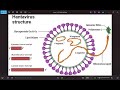 Hantavirus Ep4 (Clathrin Dependent Fusion and Ribonucleocapsid) by Dr. Paul Cottrell