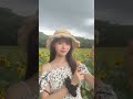 ひまわりー!!🌻 天気が、、☔️#ひまわり畑 #昭和記念公園