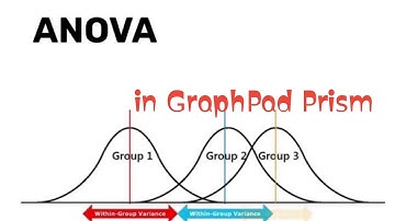 Analysis of Variance ANOVA in GraphPad Prism ✅💯