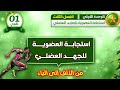 سنة اولى ثانوي استجابة العضوية للجهد العضلي الفصل الثالث من الالف الى الياء