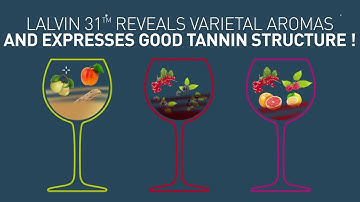 Malolactic fermentation :  use the Wine bacteria LALVIN 31™  for complex cool climate wines