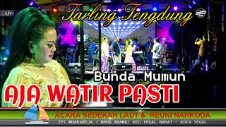 AJA WATIR PASTI || CITRA NADA LIVE SEDEKAH LAUT & REUNI NAHKODA || MUARAREJA (BRUG ABANG) - TEGAL