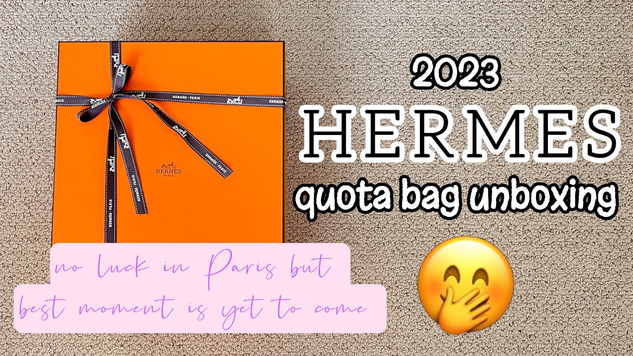 Our Six Favorite Limited Edition Hermès Bags of 2023 (So Far