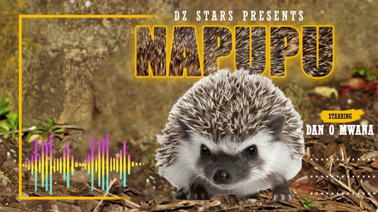 Dan O   NAPUPU official Audio