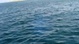 20100523_22.MPG
