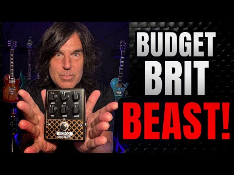 This $45 Pedal Nails Vox AC30 Tones!? | Gokko ACBox Demo