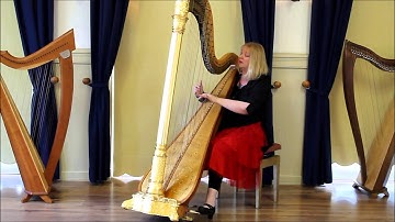 Harpist Regina Ederveen plays on harp A Celtic Dream