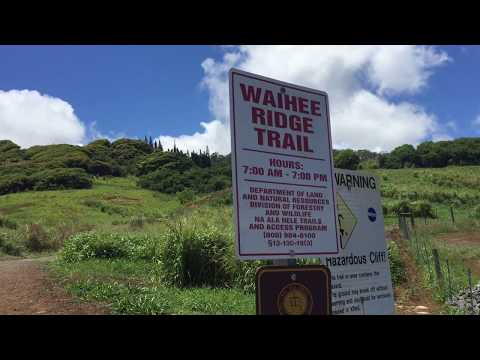 A Perfect Day in Wailuku Maui — Part 4 in a series