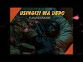 Hasani Kisambu Usingizi Wa Depo 