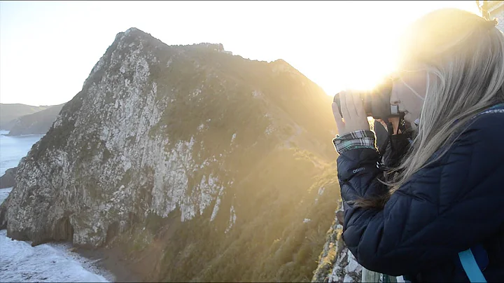 Alicia Richardson ISA Dunedin:  Welcome to New Zea...