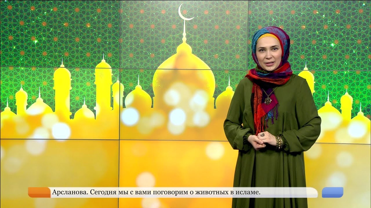 Ислам нуры - Животные в исламе - YouTube
Аминь В Исламе