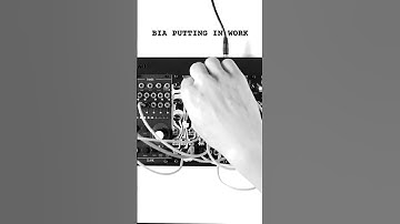 Basimilus Iteritas Alter + Make Noise LxD is EVERYTHING
