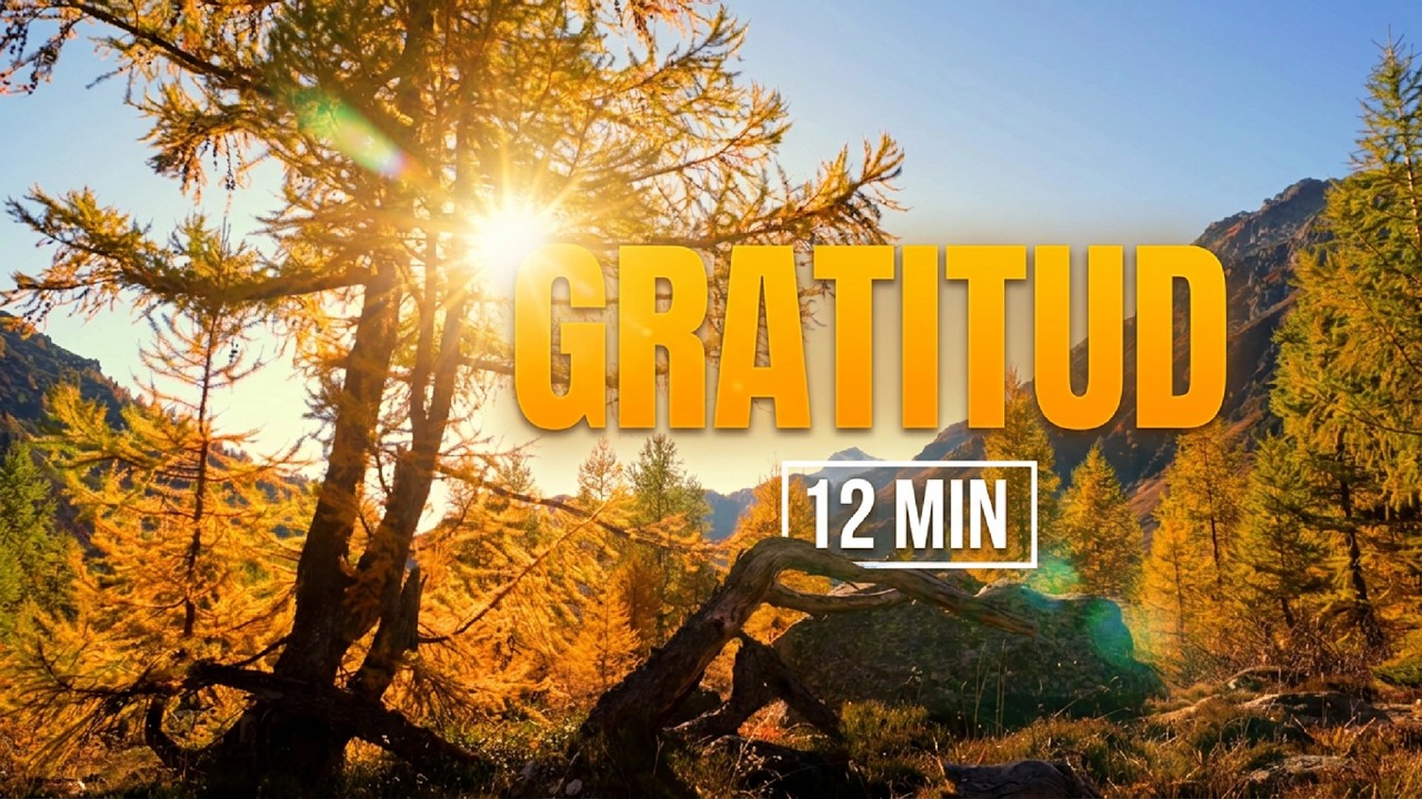 Meditación de Gratitud para PRINCIPIANTES | El Poder de agradecer | 12 ...