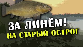 РУССКАЯ РЫБАЛКА 4. Фарм серебра на Остроге. Линь где и на что?