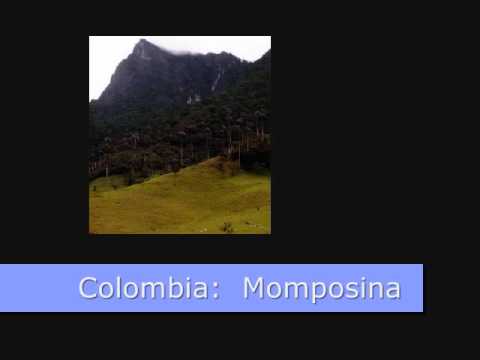 Colombia: Momposina - Nelson Pinedo ( by Jose Barr...