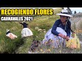 RECOGIENDO FLORES PARA HACER FLORECER MI CASA CARNAVALES 2021 COSTUMBRES Y TRADICIONES -CHOLITAJULIA