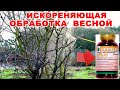 ВСЕГО 2 ОБРАБОТКИ "БРУНЬКОЙ"НА ВЕСЬ СЕЗОН ИЗБАВИТ ВСЕ РАСТЕНИЯ ОТ ПЛОДОВЫХ ВРЕДИТЕЛЕЙ И БОЛЕЗНЕЙ.