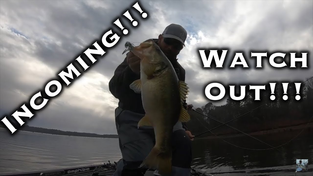 Lake Welsh Winter Bass Fishing: Dropping Bombs W/ Darien Is Fishin’!!!