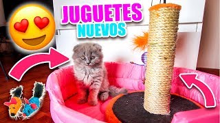 REGALOS SORPRESA PARA MI GATITA BEBÉ LIA *SUPER EMOCIONADA*