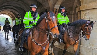 GUARDS, POLICE AND HORSES are SOAKED but the tourists still arrive and enjoy Horse Guards! by London City Walks 9,944 views 6 days ago 1 hour, 9 minutes