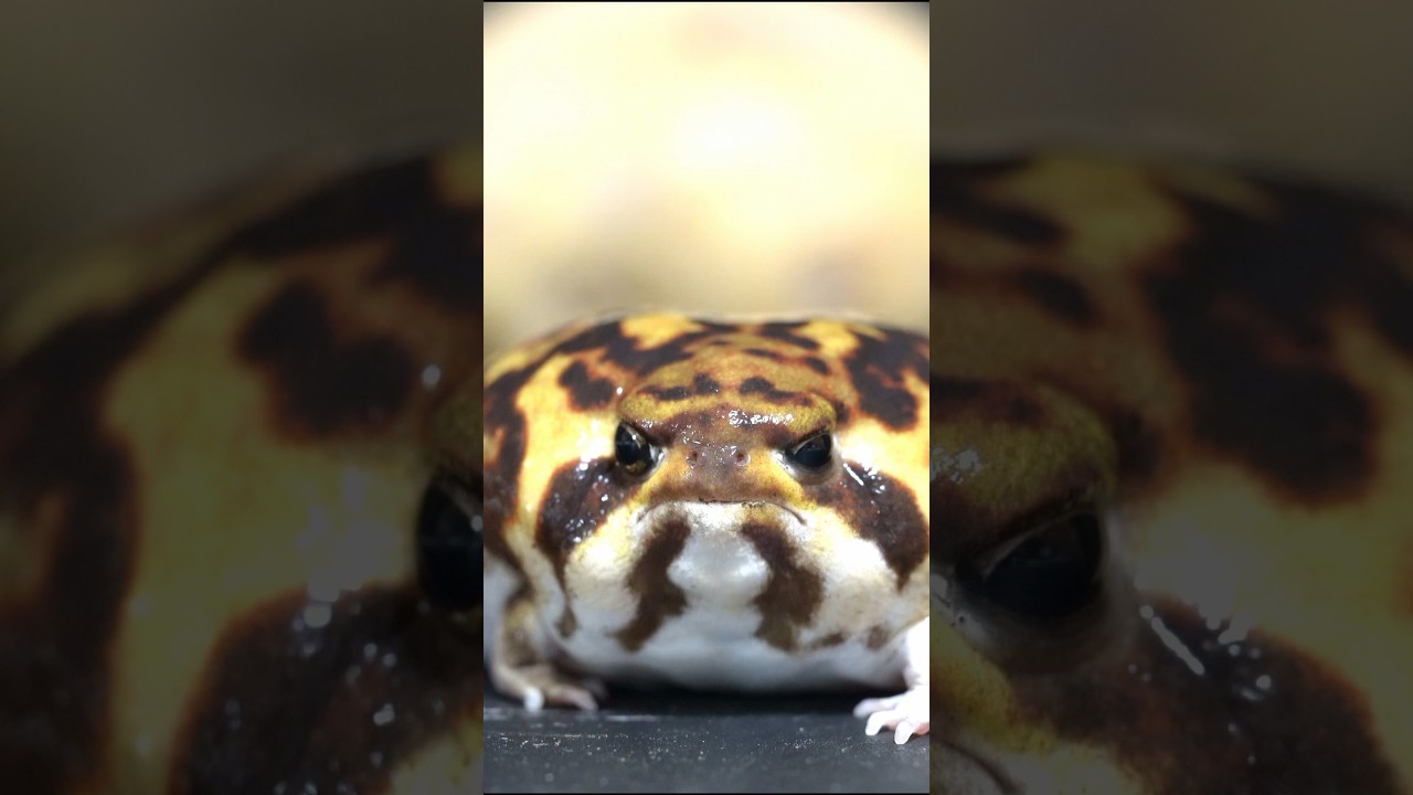 You look good today too👍  