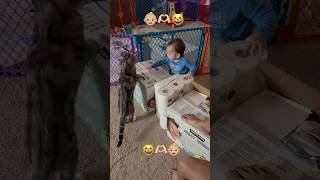 Funny Baby Video