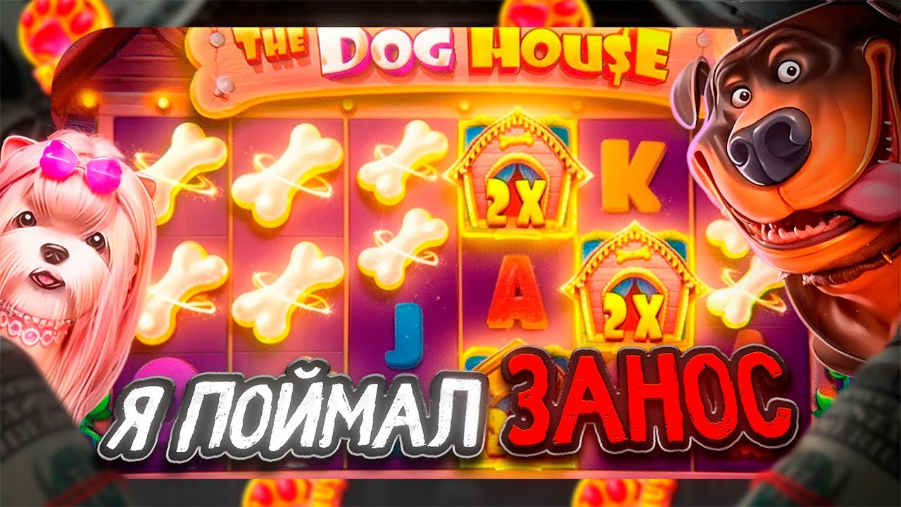 ЗАНОС НА BEEF CASINO | ЧЕСТНЫЙ ОБЗОР И ОТЗЫВ | ЗЕРКАЛО BEEF КАЗИНО