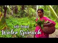 Water spinach  recipe cooking in village | kankun recipe