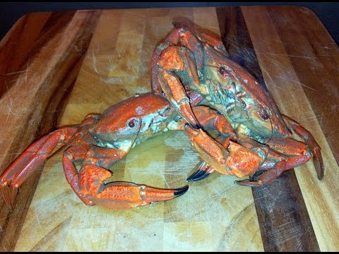 Video: Gătind în Grabă Se Prinde Crab în Aluat