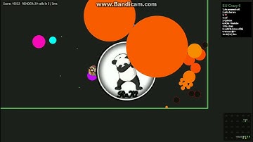 Alis.io Win & Fails #13 !! Instant and Crazy !!