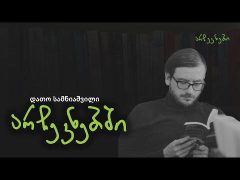 დათო სამნიაშვილი არჩევნებში - ეპიზოდი N17