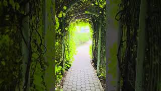 Warsaw University Library Garden, Poland