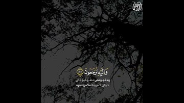 حالات واتس قرآن|القارئ أحمد خضر