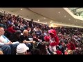 Guy Fights Benny The Bull