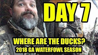 Day 7 of 2018 Ga Waterfowl Season