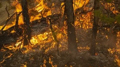 how do you keep wildfire smoke out of your house and car here are some tips