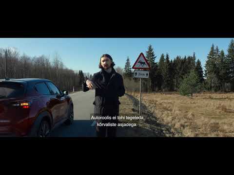 Video: Kuidas Säilitada Kaugsuhet